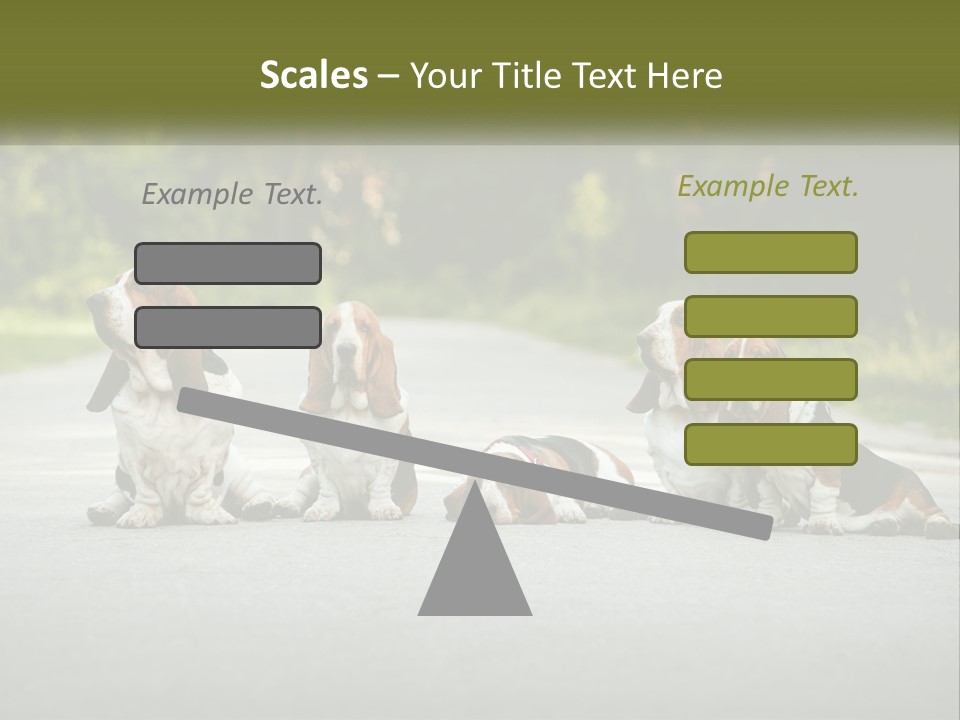 A Group Of Dogs Sitting On The Side Of A Road PowerPoint Template