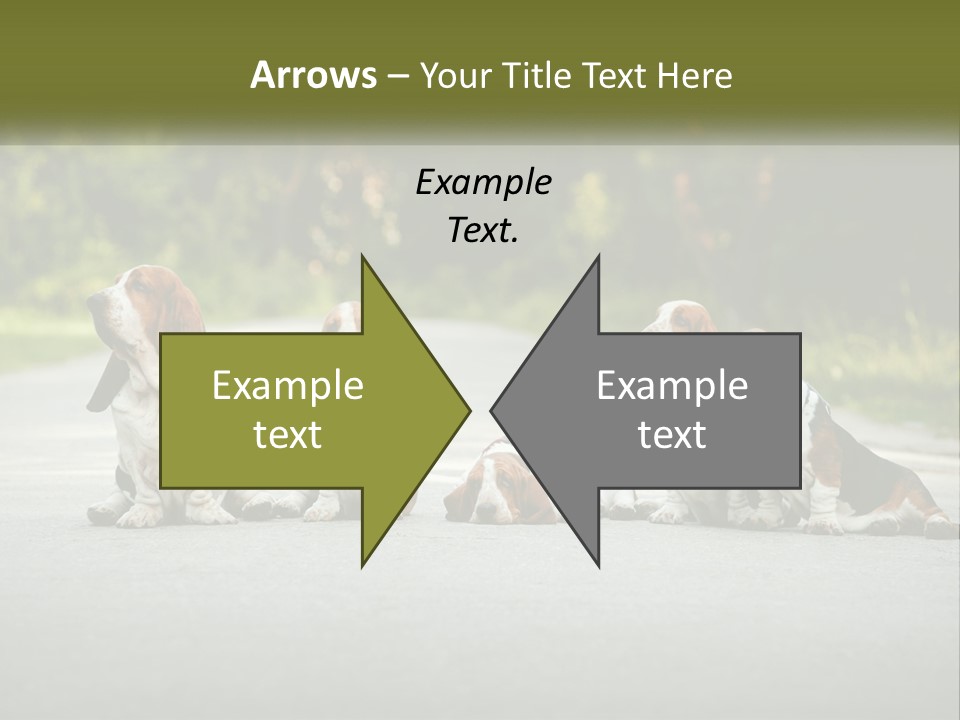 A Group Of Dogs Sitting On The Side Of A Road PowerPoint Template