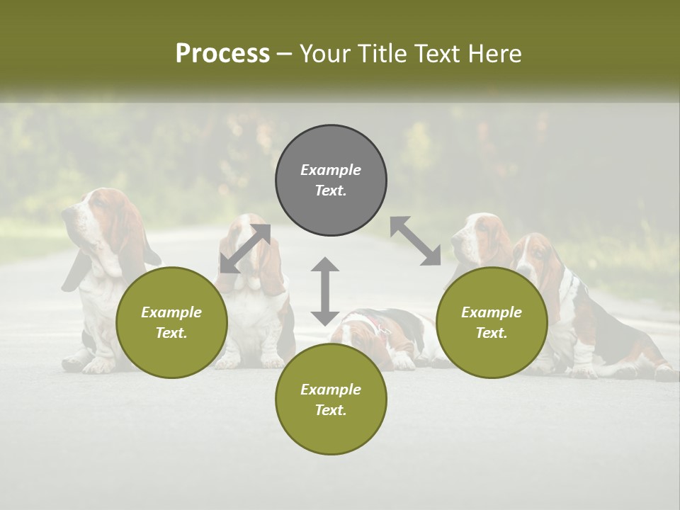 A Group Of Dogs Sitting On The Side Of A Road PowerPoint Template