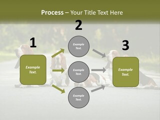 A Group Of Dogs Sitting On The Side Of A Road PowerPoint Template