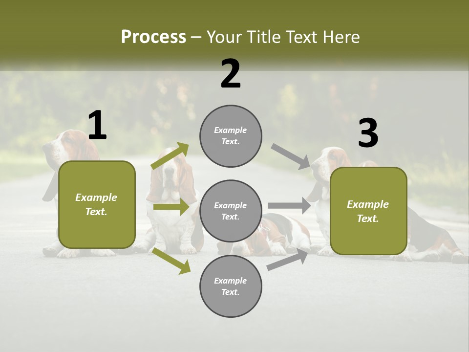 A Group Of Dogs Sitting On The Side Of A Road PowerPoint Template