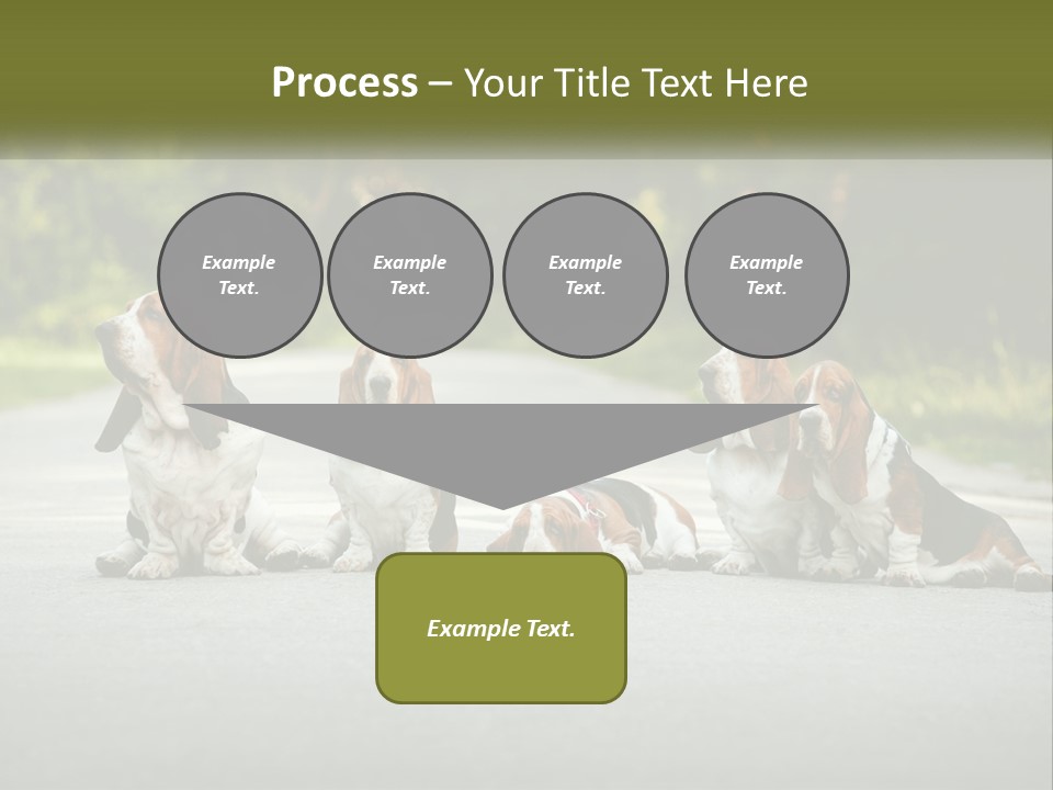 A Group Of Dogs Sitting On The Side Of A Road PowerPoint Template