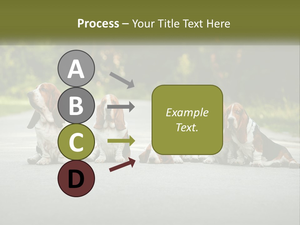 A Group Of Dogs Sitting On The Side Of A Road PowerPoint Template