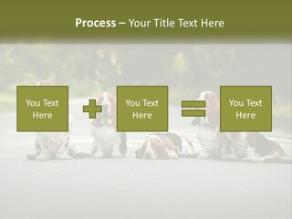 A Group Of Dogs Sitting On The Side Of A Road PowerPoint Template