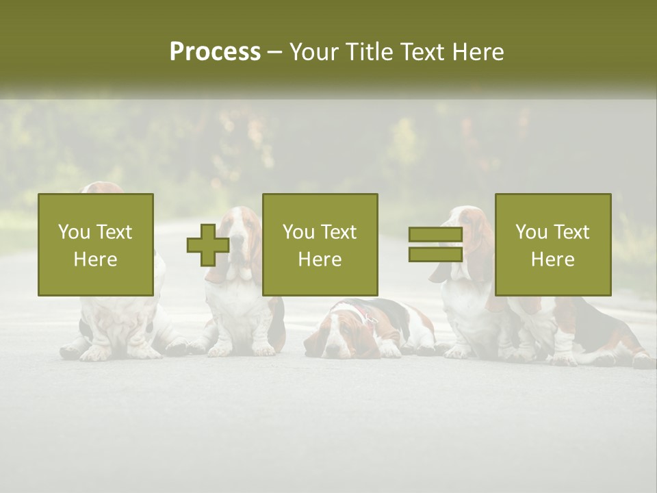 A Group Of Dogs Sitting On The Side Of A Road PowerPoint Template