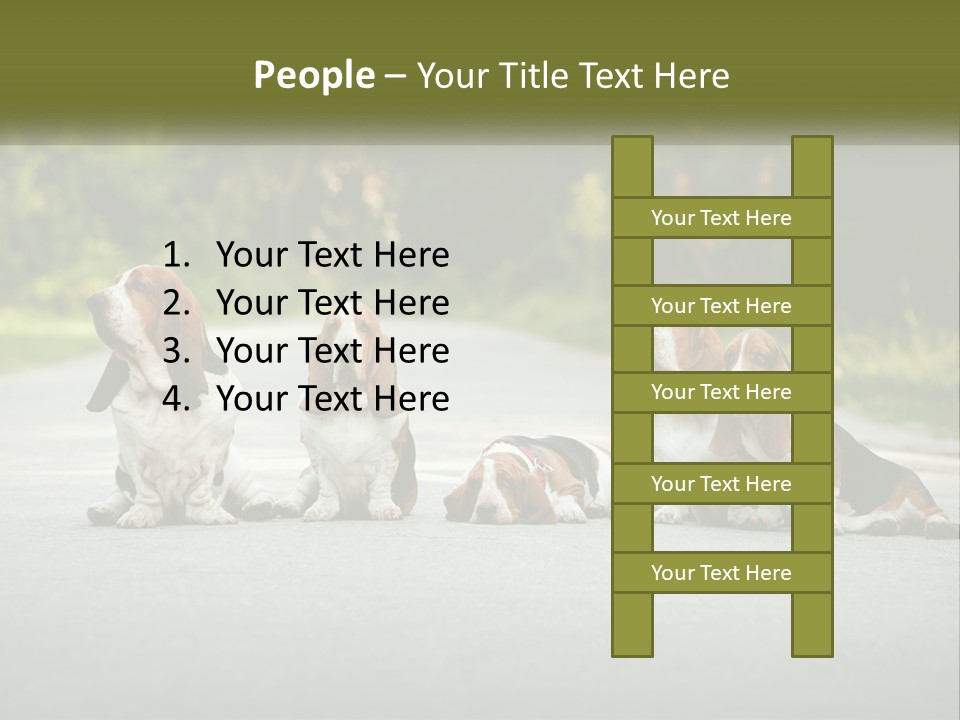 A Group Of Dogs Sitting On The Side Of A Road PowerPoint Template
