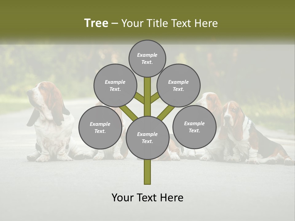 A Group Of Dogs Sitting On The Side Of A Road PowerPoint Template