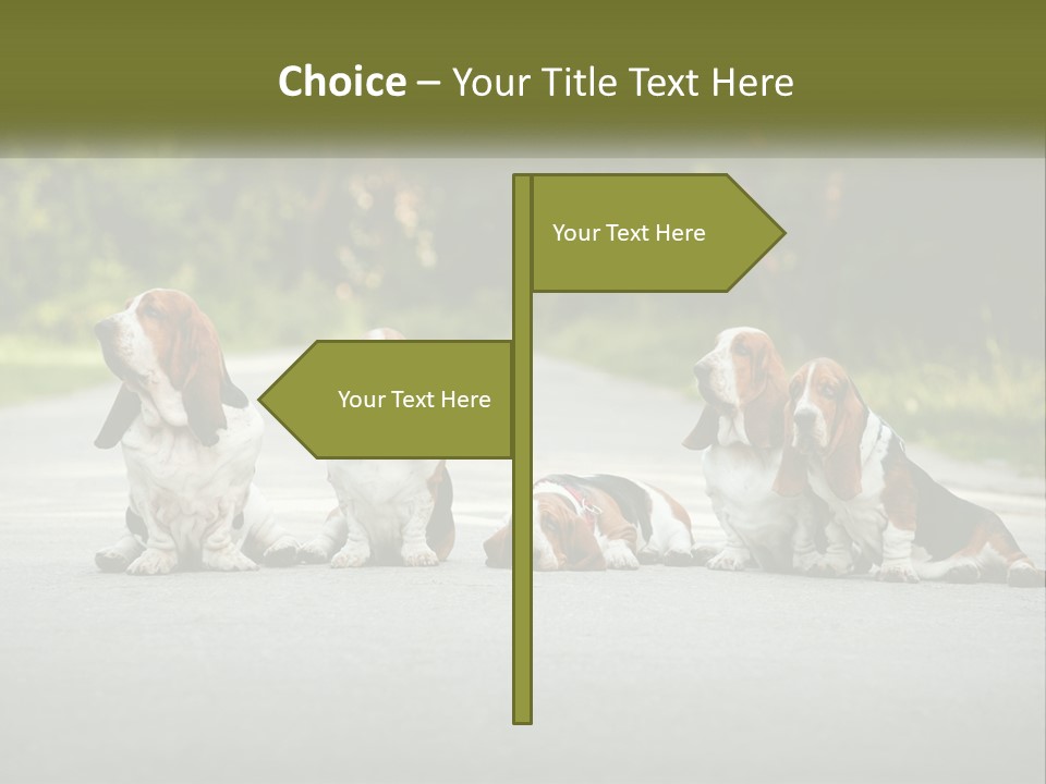 A Group Of Dogs Sitting On The Side Of A Road PowerPoint Template