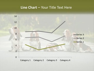 A Group Of Dogs Sitting On The Side Of A Road PowerPoint Template