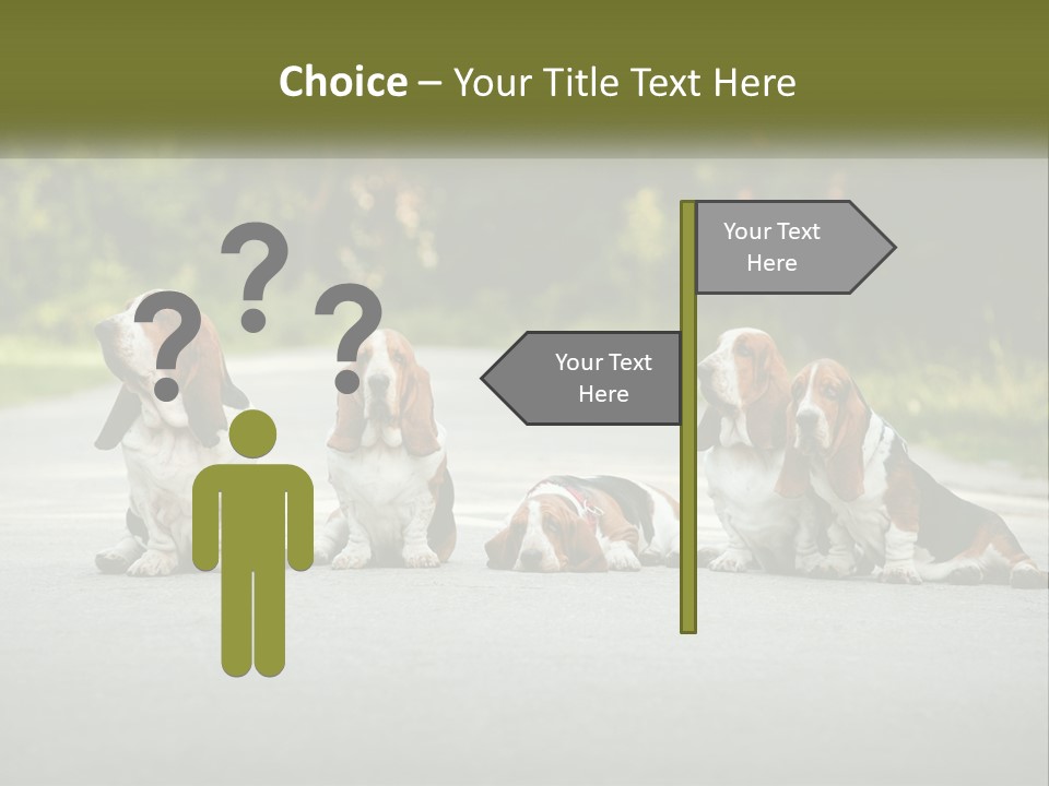 A Group Of Dogs Sitting On The Side Of A Road PowerPoint Template