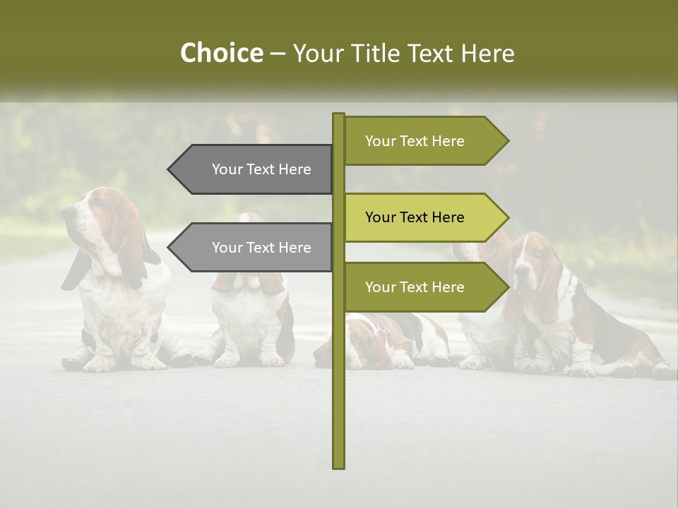 A Group Of Dogs Sitting On The Side Of A Road PowerPoint Template