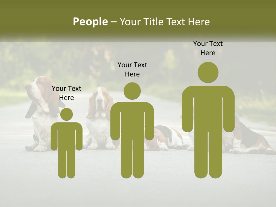 A Group Of Dogs Sitting On The Side Of A Road PowerPoint Template