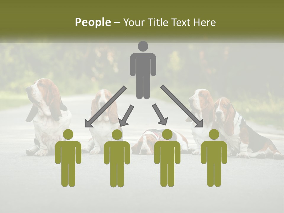 A Group Of Dogs Sitting On The Side Of A Road PowerPoint Template