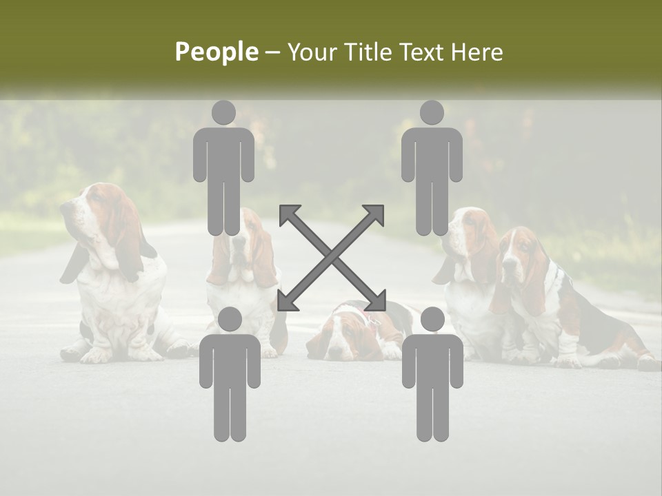 A Group Of Dogs Sitting On The Side Of A Road PowerPoint Template