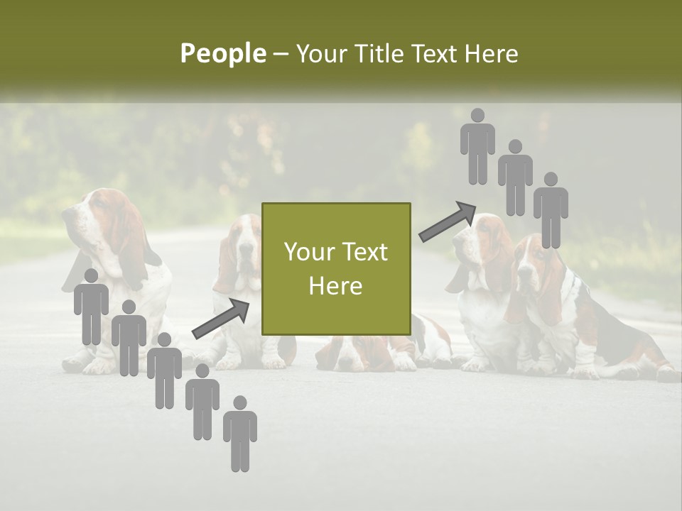 A Group Of Dogs Sitting On The Side Of A Road PowerPoint Template