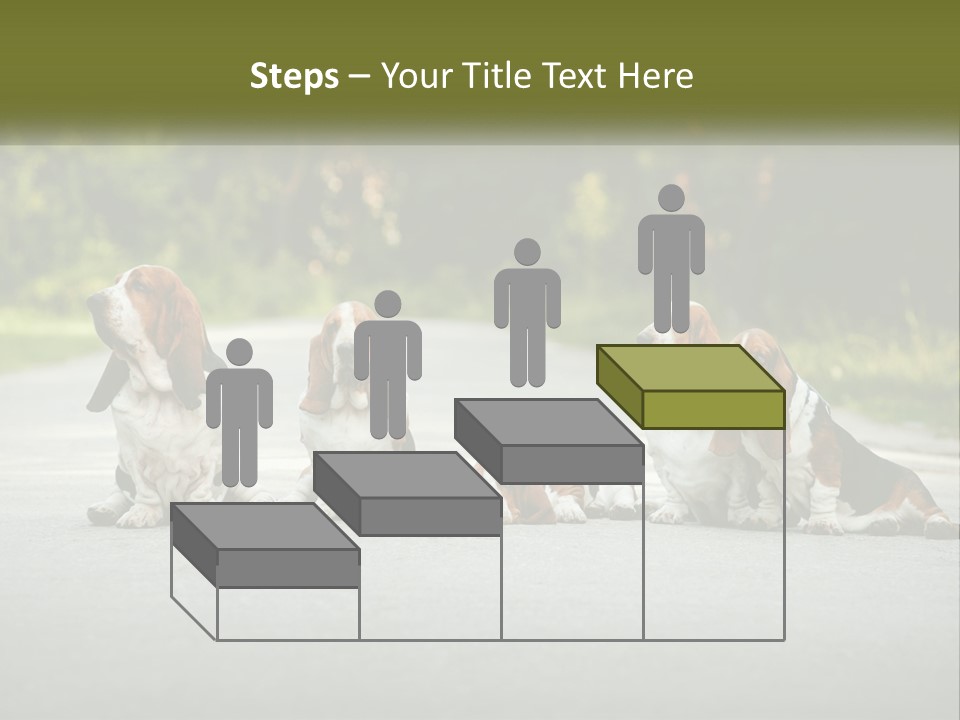 A Group Of Dogs Sitting On The Side Of A Road PowerPoint Template