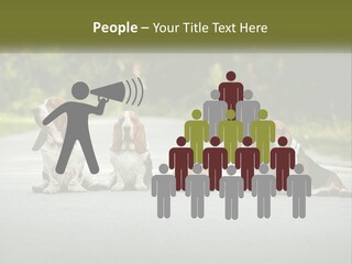 A Group Of Dogs Sitting On The Side Of A Road PowerPoint Template