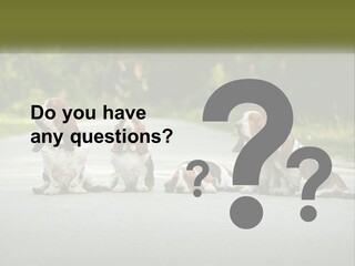 A Group Of Dogs Sitting On The Side Of A Road PowerPoint Template