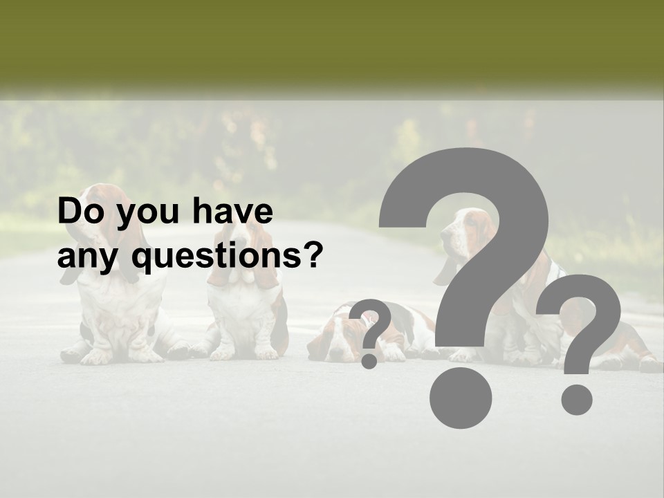A Group Of Dogs Sitting On The Side Of A Road PowerPoint Template