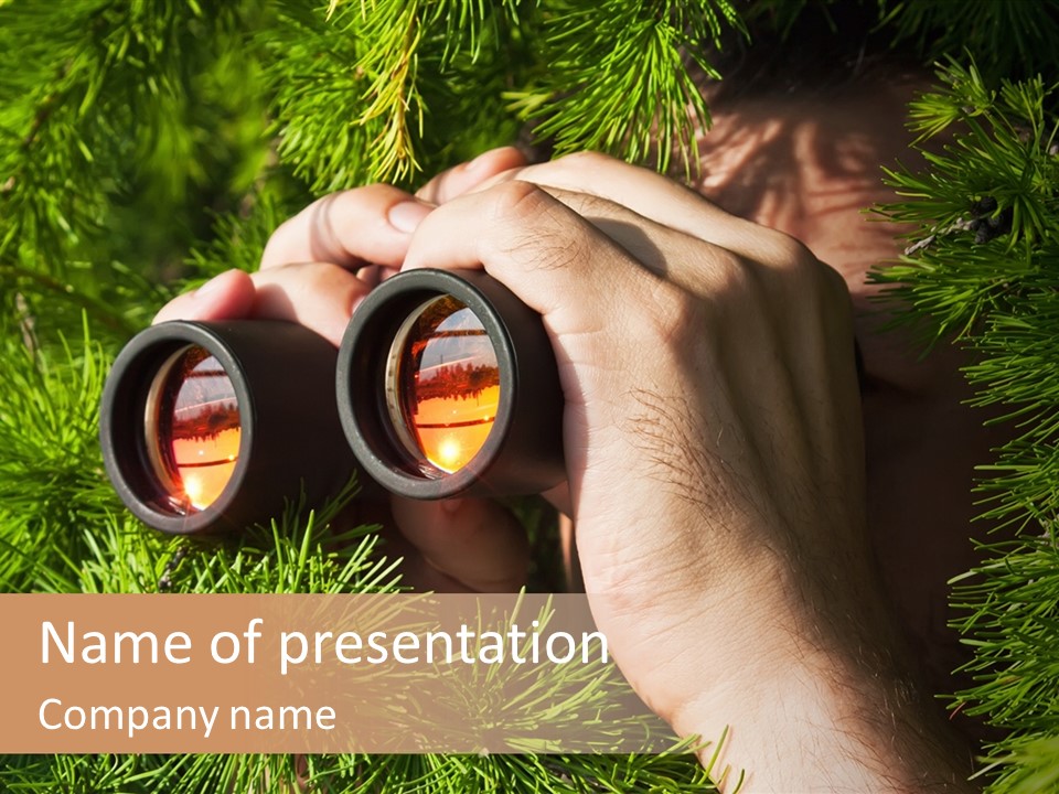 A Person Looking Through Binoculars In A Pine Tree PowerPoint Template