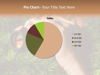 A Person Looking Through Binoculars In A Pine Tree PowerPoint Template