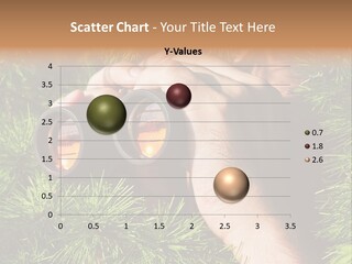 A Person Looking Through Binoculars In A Pine Tree PowerPoint Template