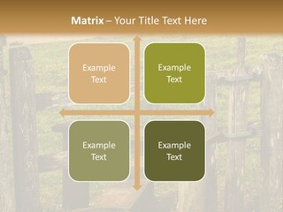 A Wooden Bench Sitting On Top Of A Lush Green Field PowerPoint Template