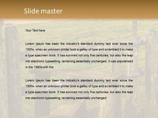 A Wooden Bench Sitting On Top Of A Lush Green Field PowerPoint Template