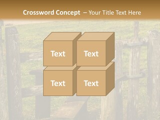 A Wooden Bench Sitting On Top Of A Lush Green Field PowerPoint Template