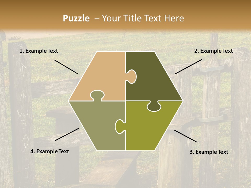 A Wooden Bench Sitting On Top Of A Lush Green Field PowerPoint Template