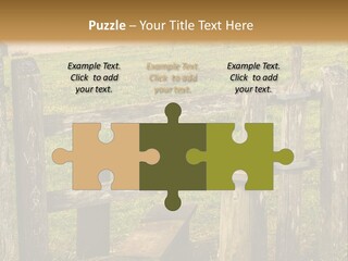 A Wooden Bench Sitting On Top Of A Lush Green Field PowerPoint Template