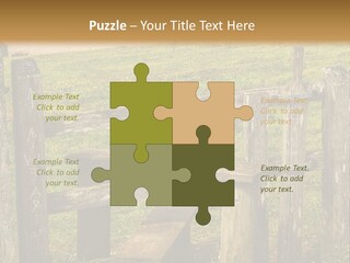 A Wooden Bench Sitting On Top Of A Lush Green Field PowerPoint Template