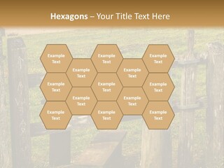 A Wooden Bench Sitting On Top Of A Lush Green Field PowerPoint Template