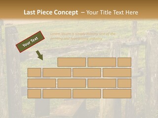 A Wooden Bench Sitting On Top Of A Lush Green Field PowerPoint Template