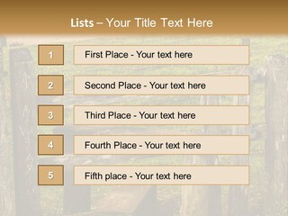 A Wooden Bench Sitting On Top Of A Lush Green Field PowerPoint Template