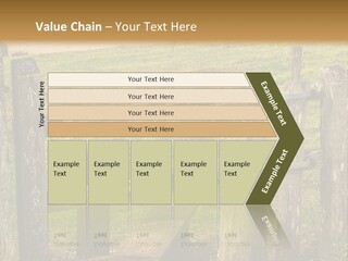 A Wooden Bench Sitting On Top Of A Lush Green Field PowerPoint Template