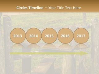 A Wooden Bench Sitting On Top Of A Lush Green Field PowerPoint Template