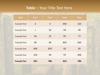 A Wooden Bench Sitting On Top Of A Lush Green Field PowerPoint Template