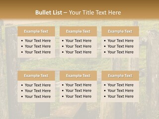 A Wooden Bench Sitting On Top Of A Lush Green Field PowerPoint Template