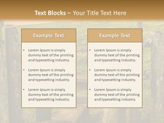 A Wooden Bench Sitting On Top Of A Lush Green Field PowerPoint Template