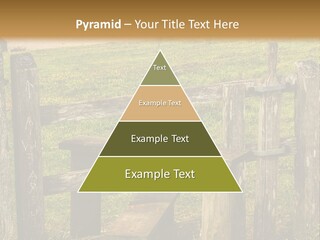 A Wooden Bench Sitting On Top Of A Lush Green Field PowerPoint Template