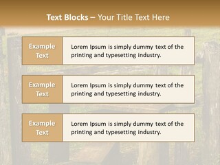 A Wooden Bench Sitting On Top Of A Lush Green Field PowerPoint Template