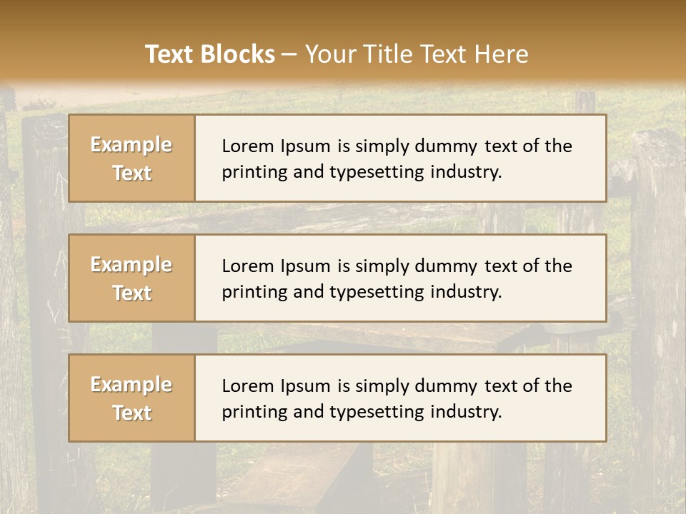 A Wooden Bench Sitting On Top Of A Lush Green Field PowerPoint Template
