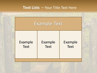 A Wooden Bench Sitting On Top Of A Lush Green Field PowerPoint Template