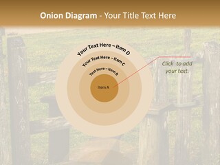 A Wooden Bench Sitting On Top Of A Lush Green Field PowerPoint Template