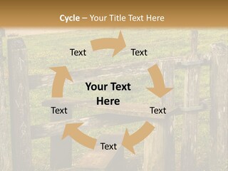 A Wooden Bench Sitting On Top Of A Lush Green Field PowerPoint Template