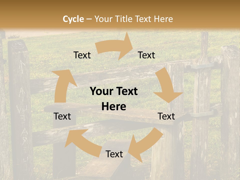 A Wooden Bench Sitting On Top Of A Lush Green Field PowerPoint Template