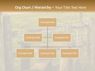 A Wooden Bench Sitting On Top Of A Lush Green Field PowerPoint Template