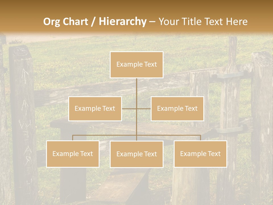 A Wooden Bench Sitting On Top Of A Lush Green Field PowerPoint Template