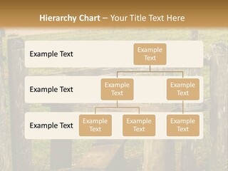 A Wooden Bench Sitting On Top Of A Lush Green Field PowerPoint Template